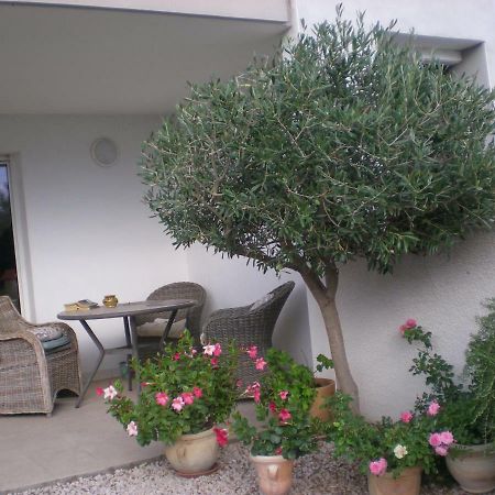 La Scribote Apartment Marseillan  Ngoại thất bức ảnh