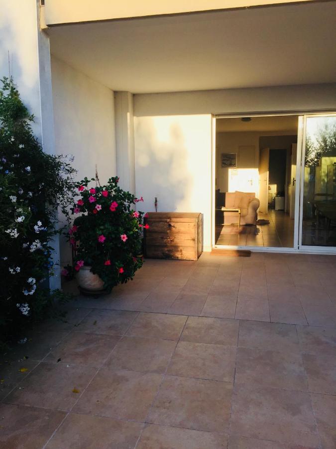 La Scribote Apartment Marseillan  Ngoại thất bức ảnh