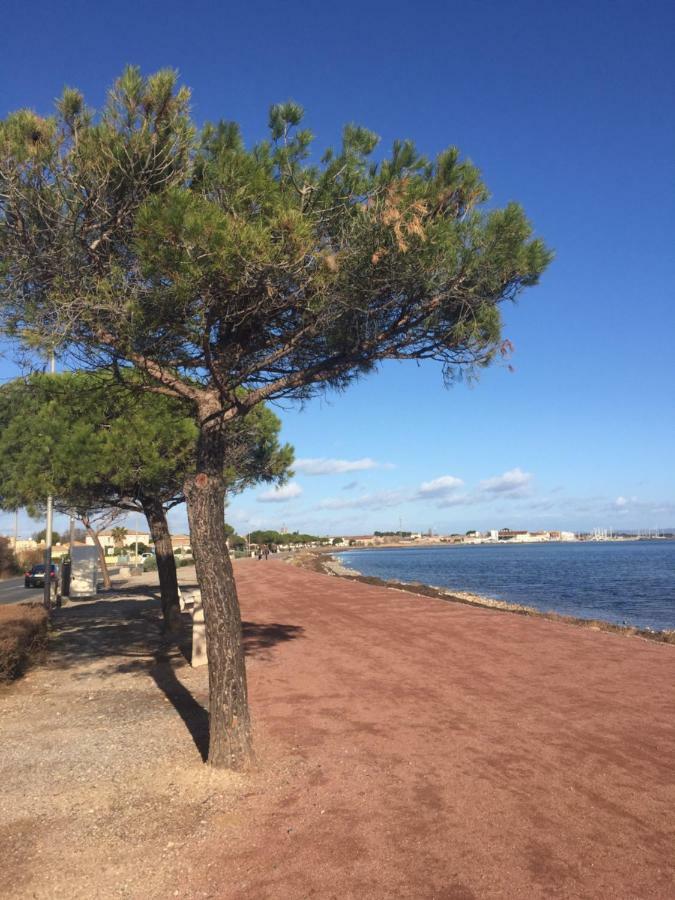 La Scribote Apartment Marseillan  Ngoại thất bức ảnh
